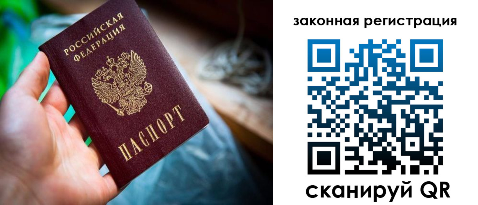 прописка в Мордовии